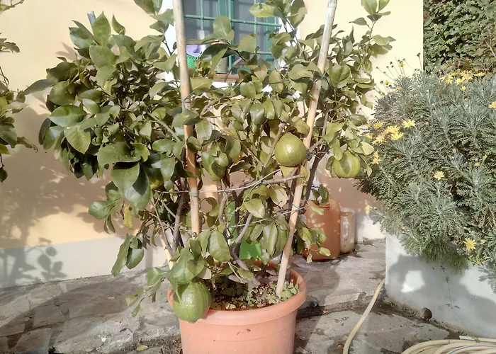 Agriturismo Campofiorito